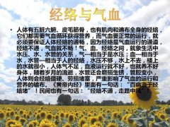 五感导师丁晓林阐述养生之道，贵在顺应自然