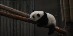 尿频尿急是怎么回事 尿不尽是什么原因造成的？怎么治？